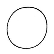 水果简笔画西瓜的画
