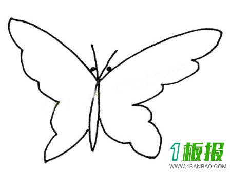 蝴蝶简笔画图片
