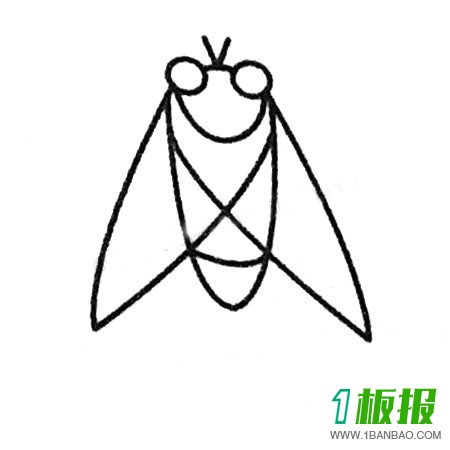 知了的简笔画图片大全
