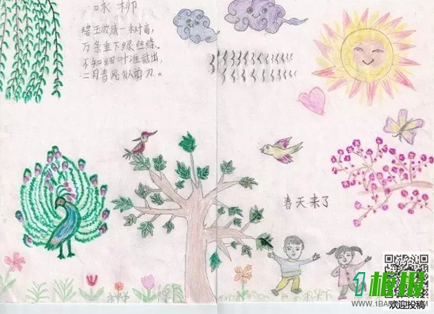 春天语文六年级手抄报-春天来了