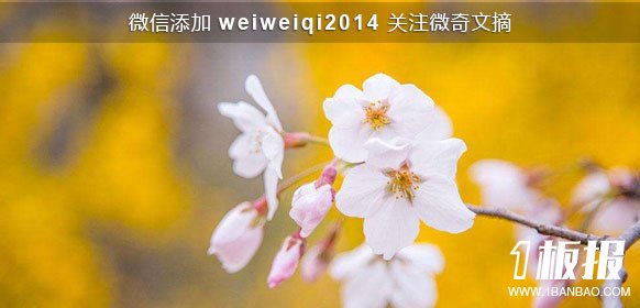 唯美图片
