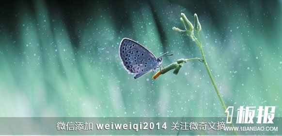 唯美图片