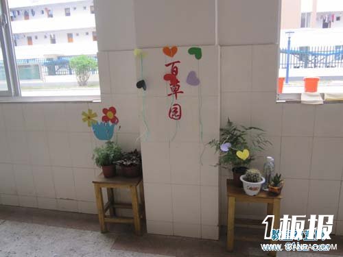 初中教室布置图片：百草园