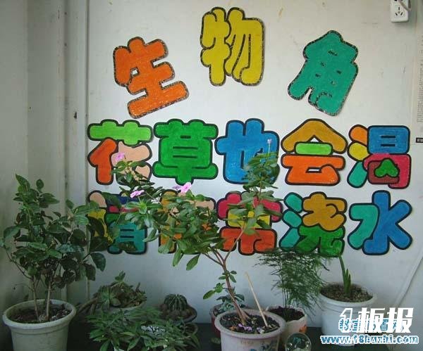 高一班级生物角布置设计图片