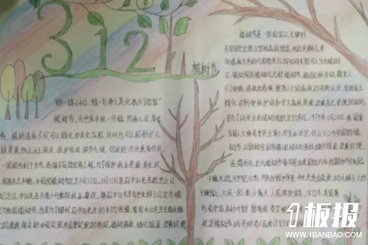 植树节手抄报内容-312植树节