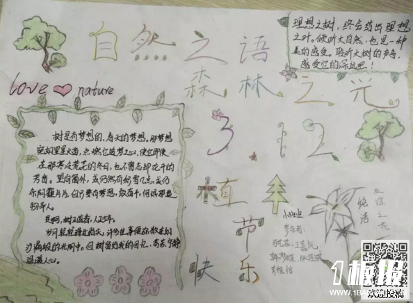 植树节手抄报图片-自然之语森林之光