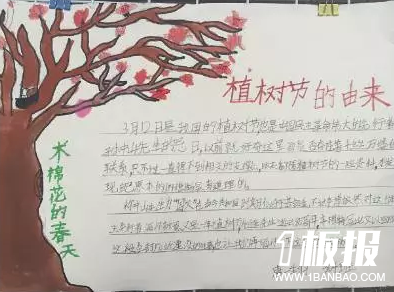 高中生植树节手抄报-植树节的由来