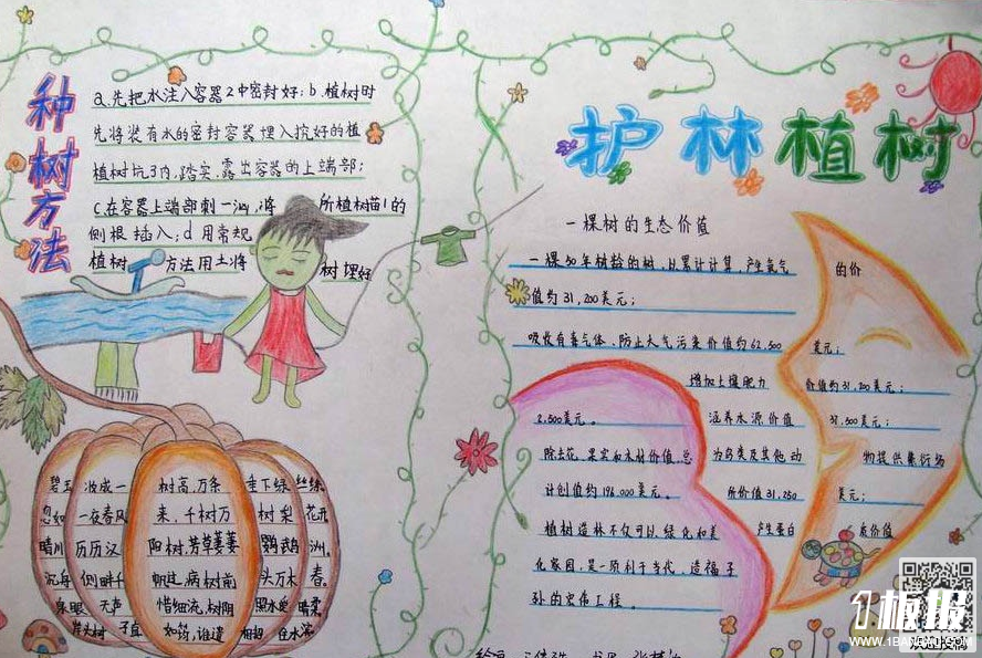 植树节手抄报图片大全-护林植树