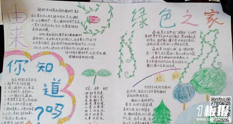 初一植树节手抄报-绿色之家