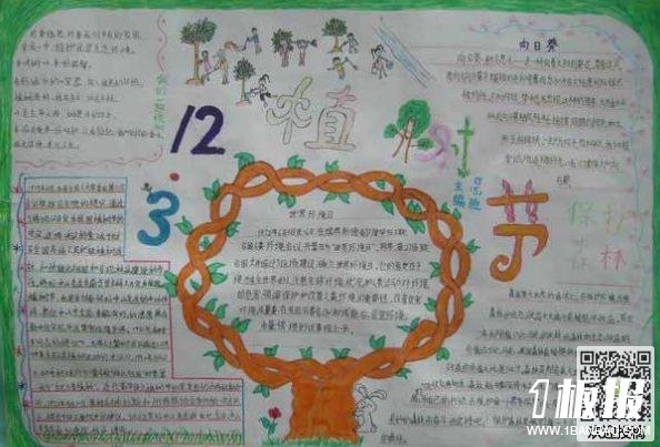 植树节手抄报图片漂亮-收获绿色