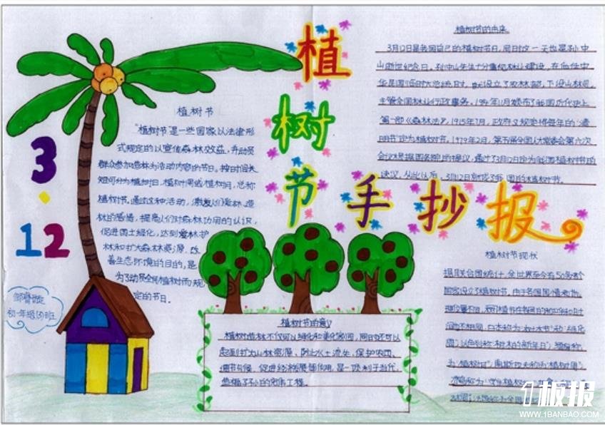 简单好看的植树节手抄报-参天大树