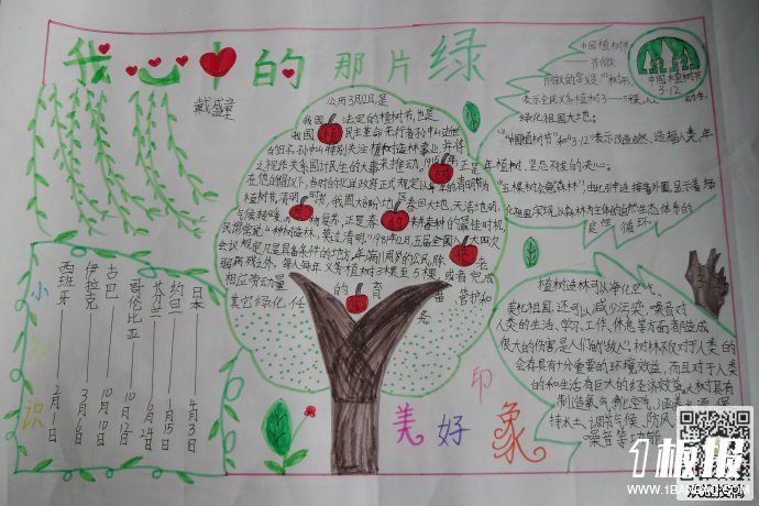 关于植树的手抄报简单-我心中的那片绿