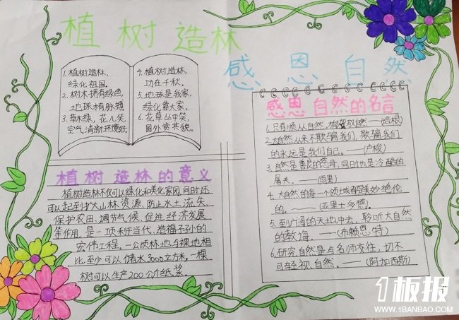 好看的植树节手抄报图片之感恩自然