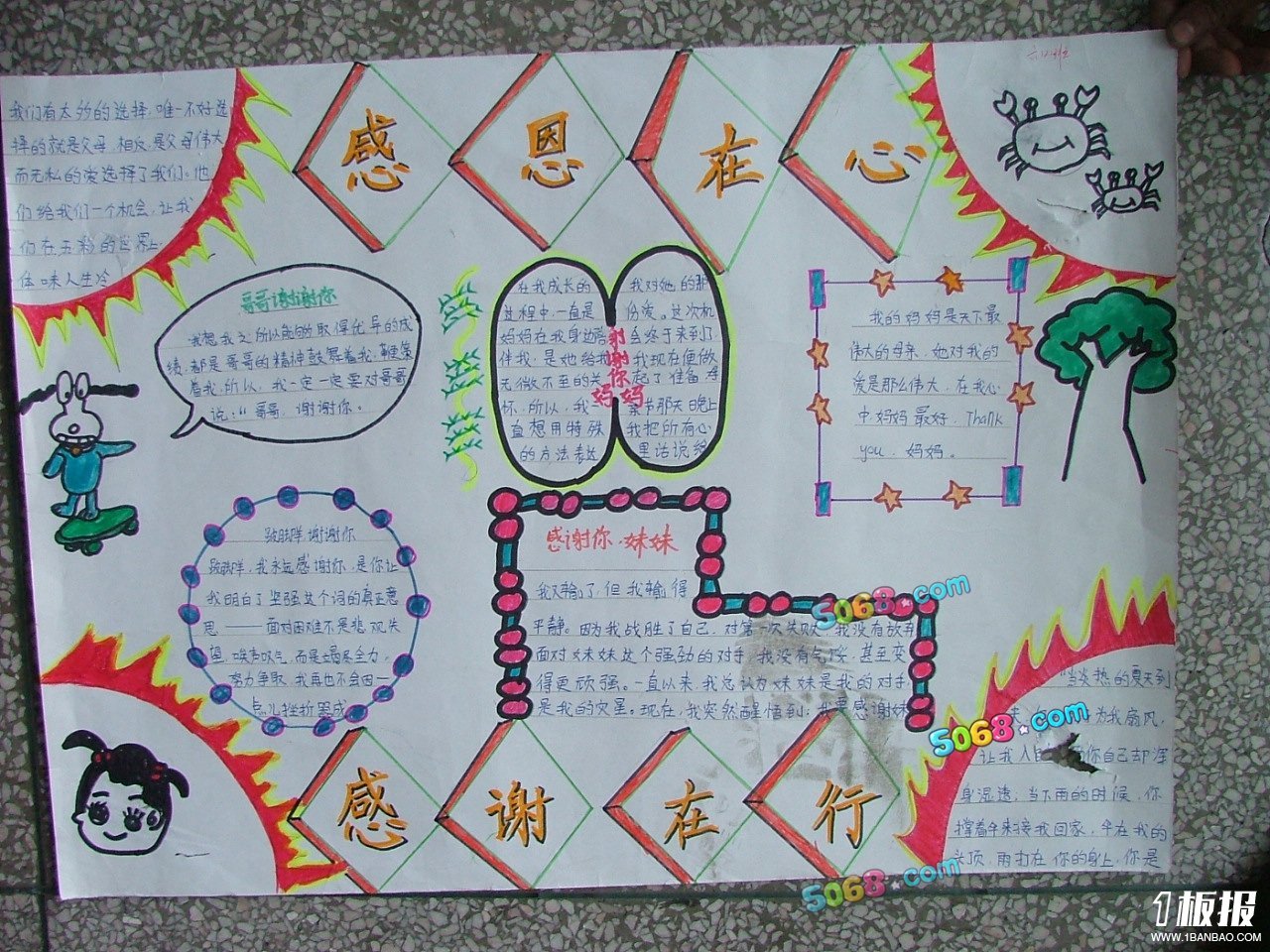 关于感恩节的手抄报-感恩在于行