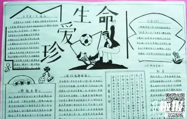 珍爱生命手抄报-珍爱生命