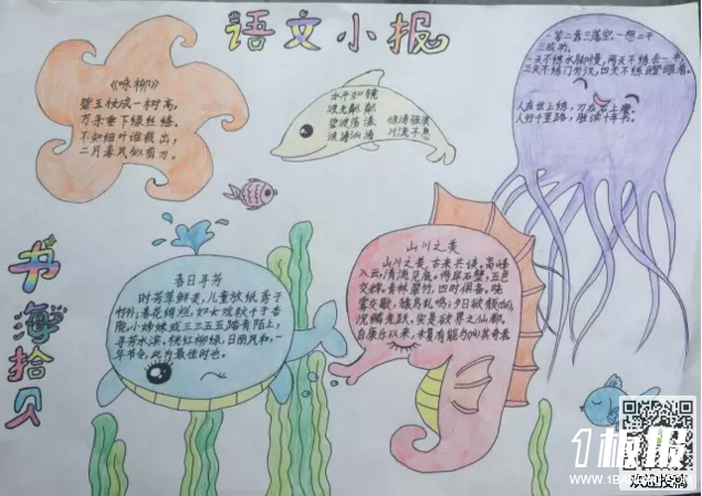 初中语文手抄报资料-语文小报