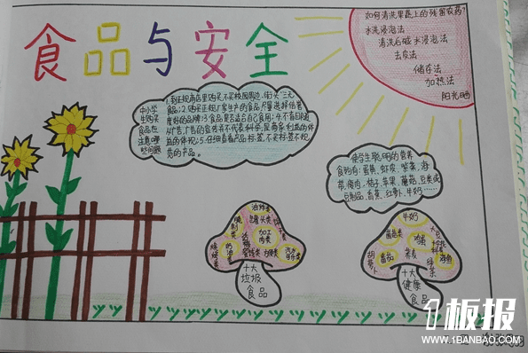 关注食品安全从我做起手抄报