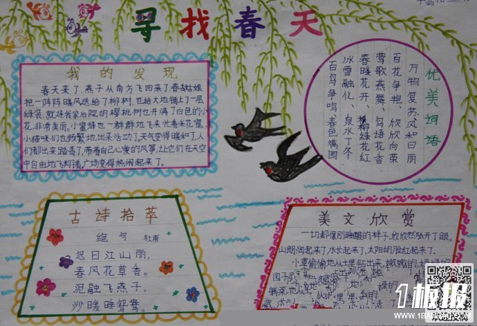 多彩春天手抄报图片-漫步在春天里
