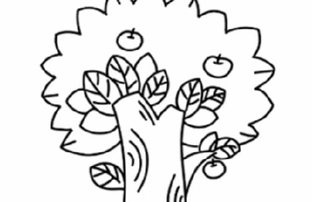 苹果树简笔画的画法