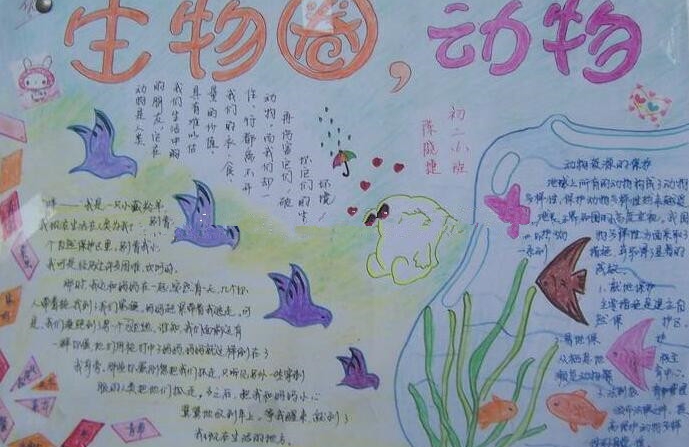 生物多样性手抄报图片