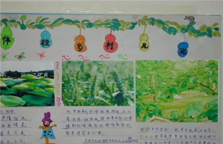 百草园手抄报图片