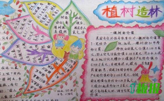 植树造林手抄报内容五年级1