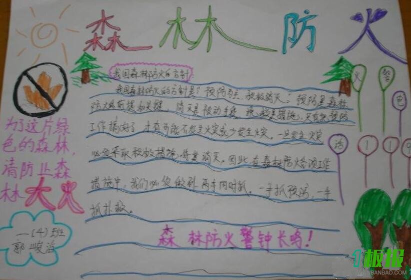 保护森林小报简单3