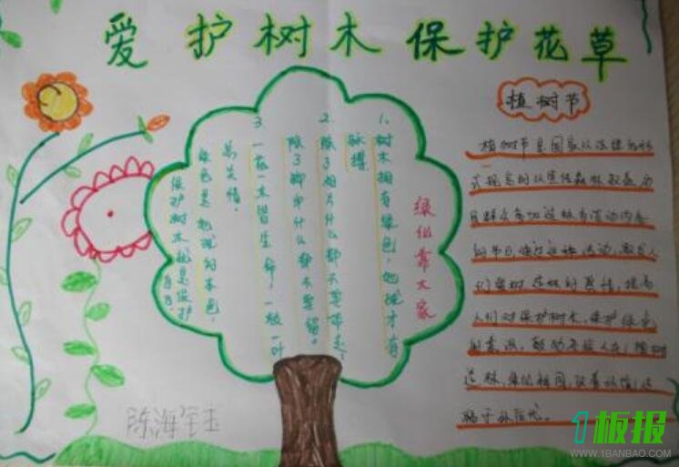 保护森林手抄报简单又漂亮1