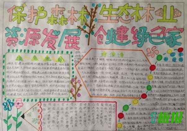 保护森林手抄报内容3