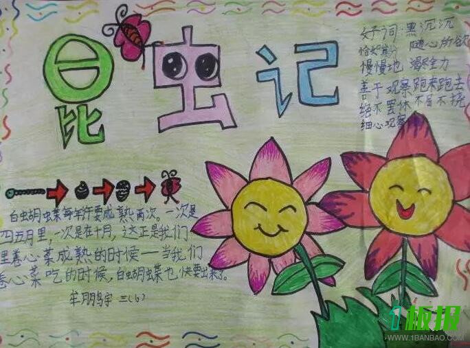 昆虫手抄报简单又可爱1