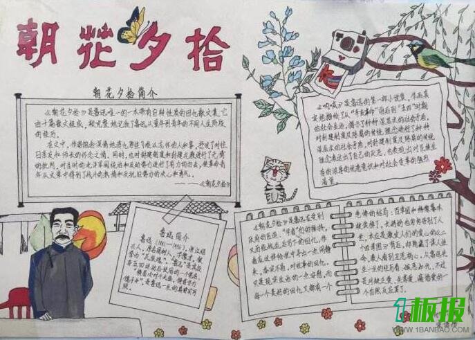朝花夕拾手抄报设计图1