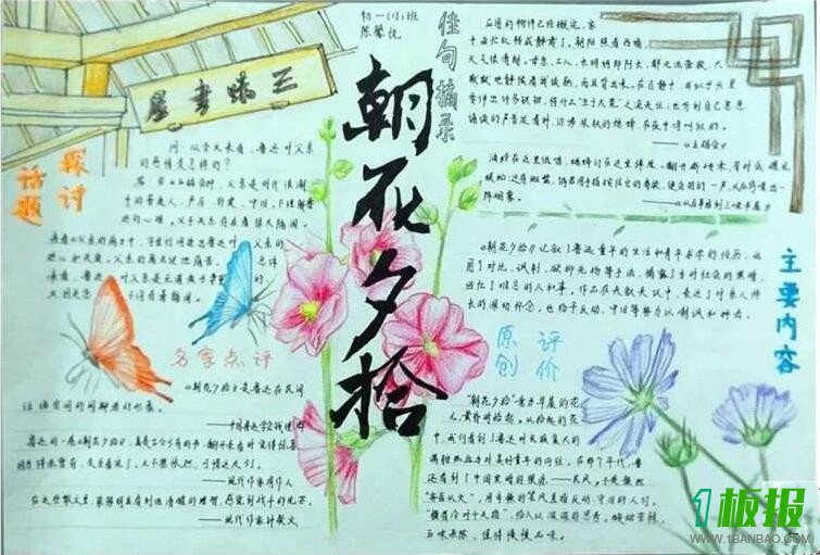 朝花夕拾手抄报设计图3