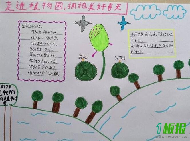 植物手抄报内容简单2