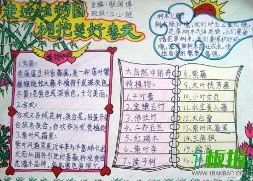 植物手抄报内容简单3
