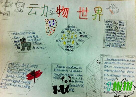 世界真奇妙小学生小报3