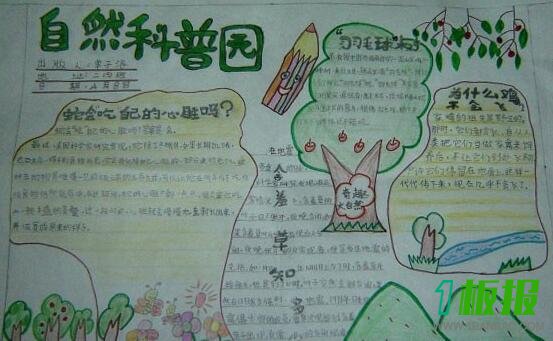 科学与自然手抄报内容2