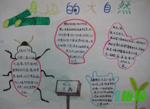 科学与自然手抄报内容3