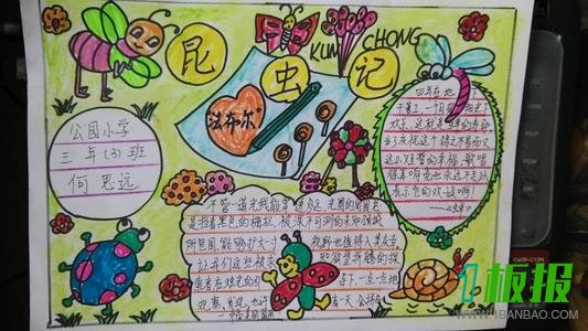 保护昆虫手抄报图片大全2