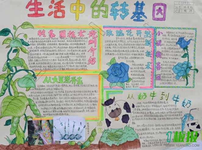 转基因手抄报图片大全1