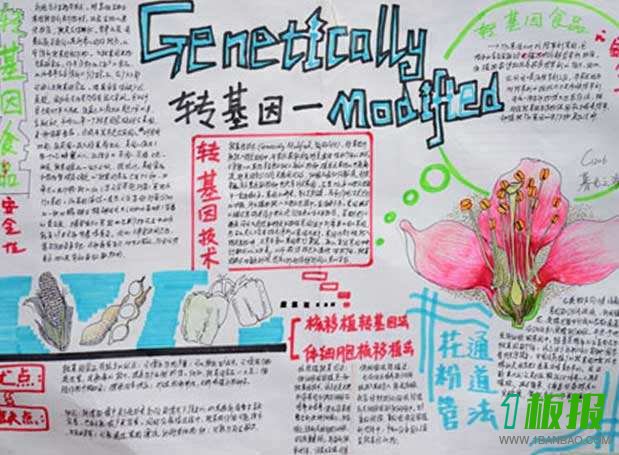 转基因手抄报图片大全2