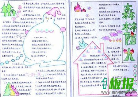 森林小小手抄报图片大全2