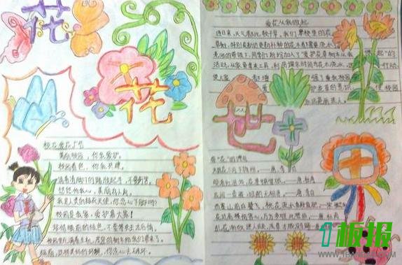 以花为主题的手抄报图片大全