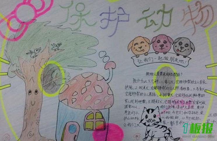 人类与动物手抄报图片大全