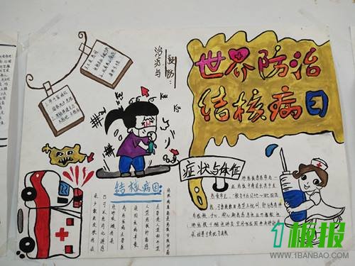 结核病手抄报5