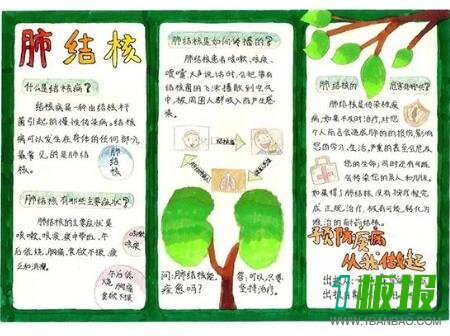 世界防治结核病日手抄报