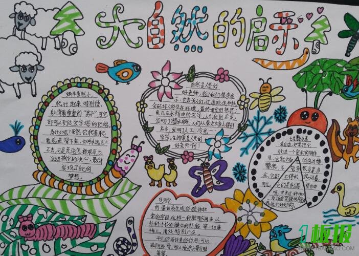 大自然的启示手抄报