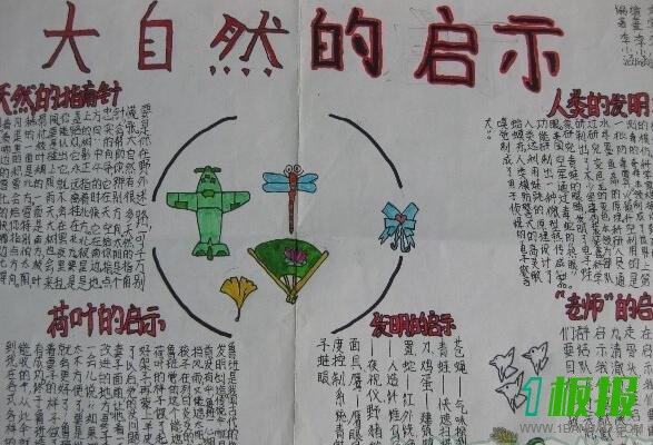 大自然的启示手抄报