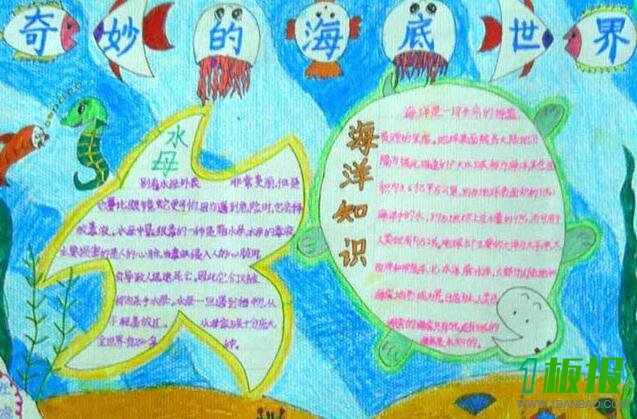 海底世界手抄报