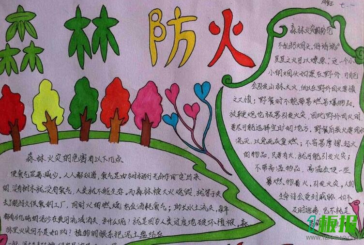 森林防火手抄报