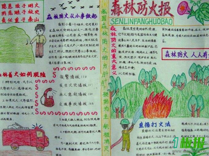 森林防火手抄报